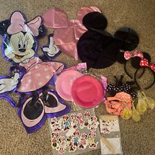 Minnie mouse birthday for sale  Decatur