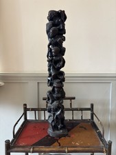 African tree life for sale  PONTEFRACT