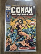 Conan the barbarian gebraucht kaufen  Sigmaringen