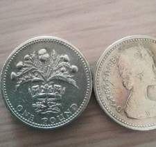 One pound coin usato  Italia