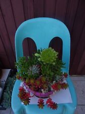 Belle potée plantes d'occasion  Saint-Cyprien