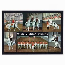 Wien spanische hofreitschule gebraucht kaufen  Backnang