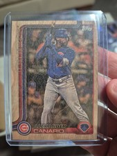 2025 Topps Woodgrain Alexander Canario estojo hit paralelo 25/02 comprar usado  Enviando para Brazil