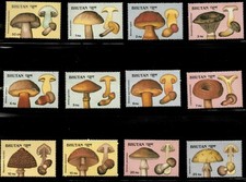 Bhutan 1989 mushrooms d'occasion  Expédié en Belgium