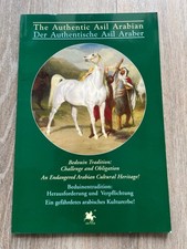 Authentic asil arabian for sale  FORDINGBRIDGE