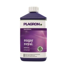 Plagron sugar royal usato  Italia
