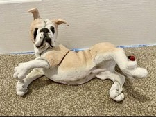 Breed apart bulldog for sale  HAILSHAM