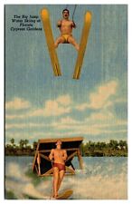 Antigo The Big Jump esqui aquático em Cypress Gardens, diversão, esportes aquáticos, FL comprar usado  Enviando para Brazil