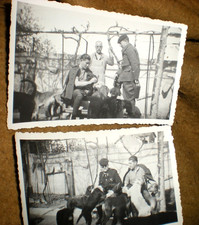 Ww2 avignon 1940 d'occasion  Avignon