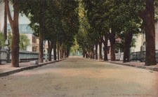 America postcard elm for sale  WATERLOOVILLE