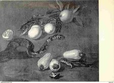 Art - Peinture - Dirk Valckenburg - Fruits de Surinam et reptiles - Musée des Be segunda mano  Embacar hacia Mexico