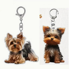 Porte cle porte d'occasion  Loches