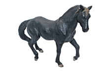Mojo andalusian stallion for sale  Opelika