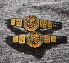 Mattel wwe elite for sale  Marion