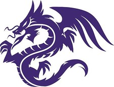 Tribal dragon magic for sale  Chatsworth