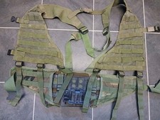Rare molle woodland for sale  COLCHESTER