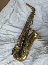 Parisian ambassador young for sale  GUNNISLAKE