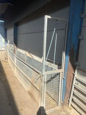 Sheep race for sale  STAFFORD