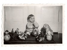 steiff lowe gebraucht kaufen steiff lowe gebraucht kaufen  Magdeburg