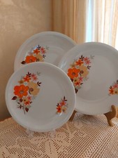 Piatti porcellana vintage usato  Spilamberto