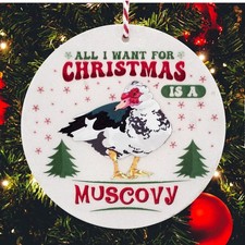 Muscovy duck christmas for sale  Anderson