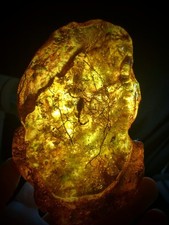 Beautiful genuine 14.5 for sale  Fruita