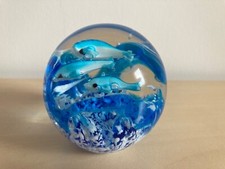 Lovely fish aquarium for sale  ABERDEEN