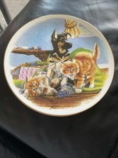 Collectors plate rob for sale  LONDON