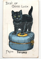 Torquay comic cat for sale  WARRINGTON