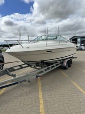 Searay 215 express for sale  BRENTWOOD