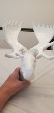 Moose head wallmount for sale  Millstadt