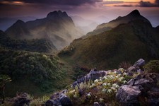 Thai mountain sunlight for sale  Pacoima