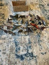 Schleich lot dinosaurs for sale  Yukon