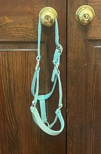 cutest pony for sale cutest pony for sale Ashland