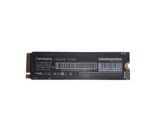 Fanxiang s500 pro gebraucht kaufen  Landau
