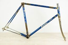 Fanini vintage columbus usato  Chieri
