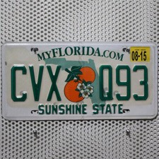 Florida nummernschild usa gebraucht kaufen  Euskirchen