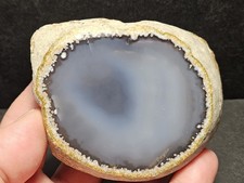 Superbe agate enhydro d'occasion  Bastia-