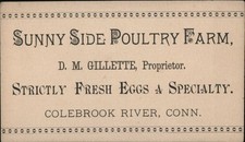 farm fresh chicken eggs for sale  USA