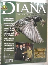 Diana 2003 caccia usato  Salerno