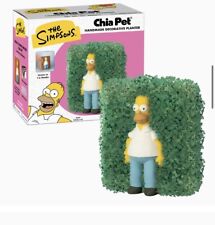 Homer simpson chia for sale  Seattle