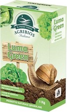 Paese verde lumagreen usato  Muro Lucano