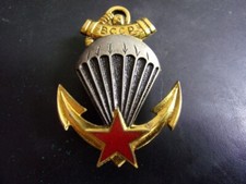 Parachutistes bccp d'occasion  Gray