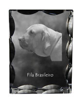 Fila brasileño, Perro de presa brasileño, Fila brasileiro, Cabeçudo boiadeiro ma comprar usado  Enviando para Brazil