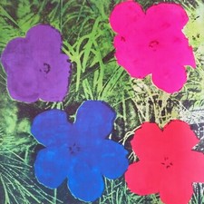 Litografia andy warhol usato  San Pier Niceto