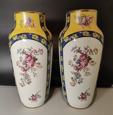 Paire vases porcelaine d'occasion  Saint-Nazaire