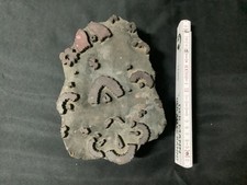 Stoffdruck stempel holz gebraucht kaufen  Eisenhüttenstadt