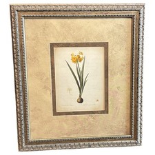 Set framed botanical for sale  Locust Grove