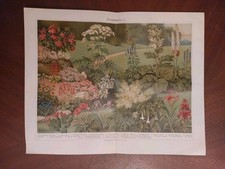 Rig chromolithographie zierpfl gebraucht kaufen  Nauen