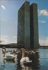 Cartão postal antigo do Congresso Nacional do Brasil construindo torres com cisnes, Brasília DF comprar usado Cartão postal antigo do Congresso Nacional do Brasil construindo torres com cisnes, Brasília DF comprar usado  Enviando para Brazil